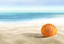 马德里竞技绝地反击，出人意料晋级