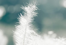 马德里竞技绝地反击，出人意料晋级