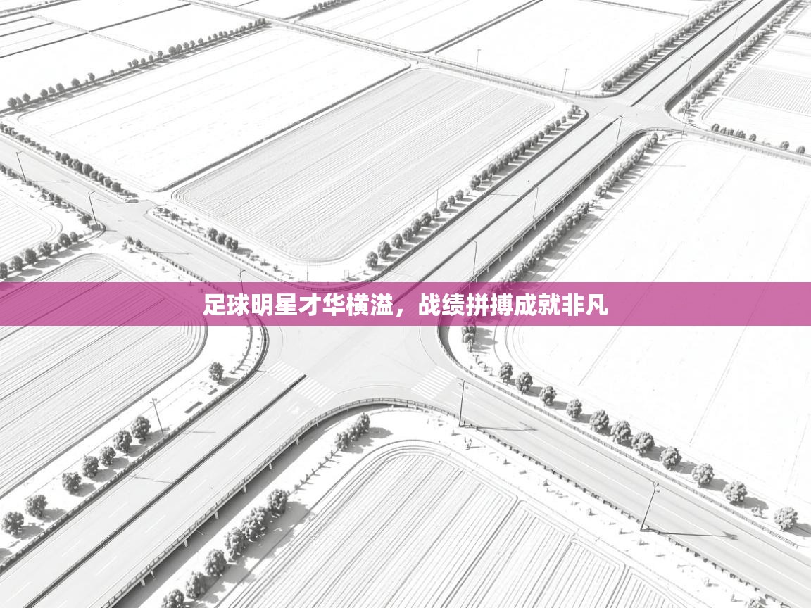 足球明星才华横溢，战绩拼搏成就非凡  第1张