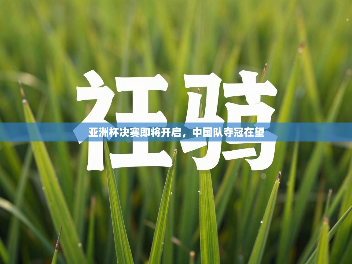 亚洲杯决赛即将开启，中国队夺冠在望
