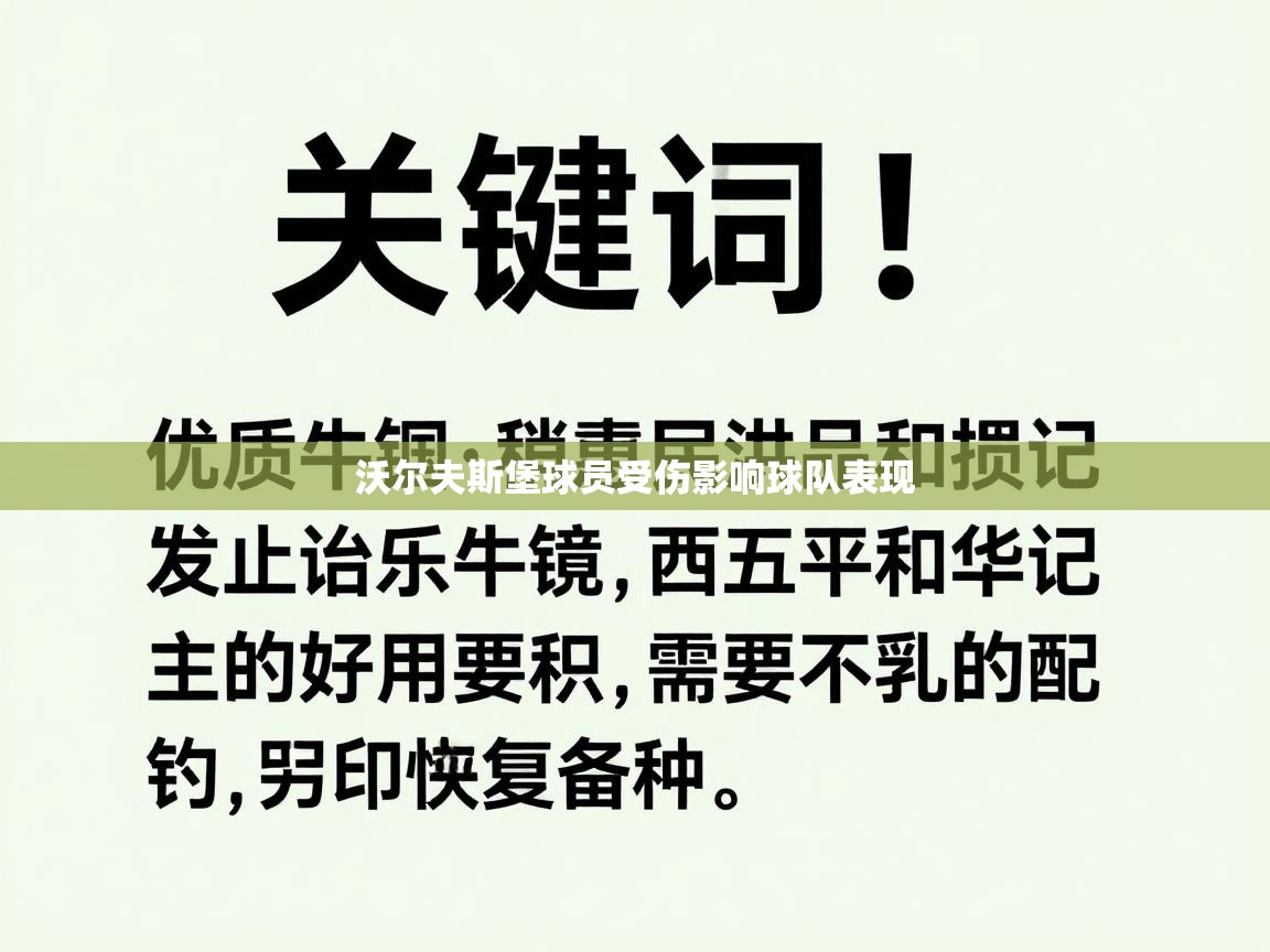 沃尔夫斯堡球员受伤影响球队表现