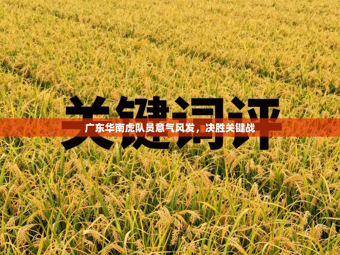 广东华南虎队员意气风发，决胜关键战  第2张