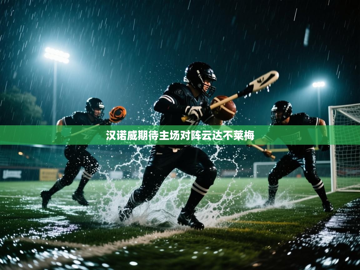 汉诺威期待主场对阵云达不莱梅