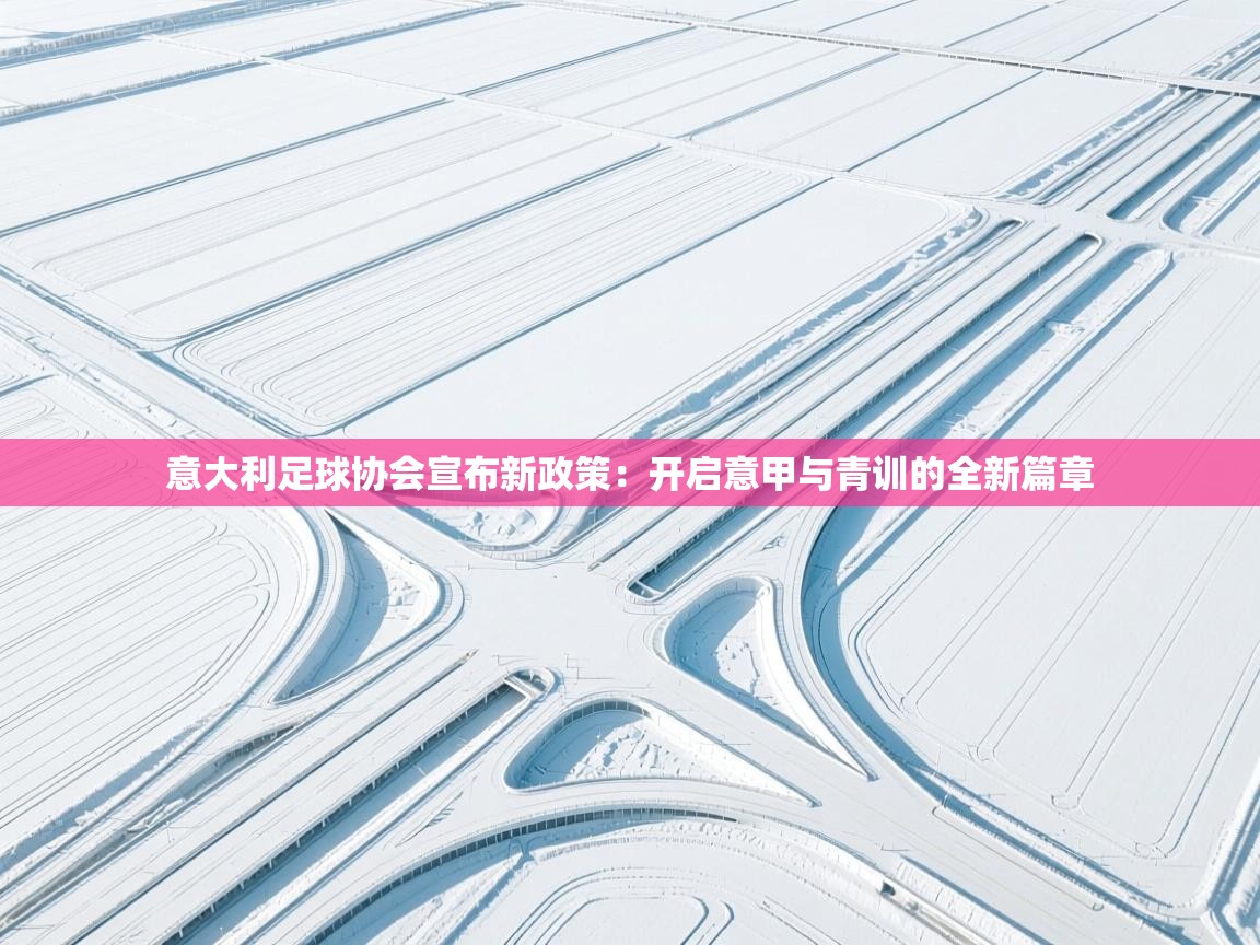 意大利足球协会宣布新政策：开启意甲与青训的全新篇章  第2张