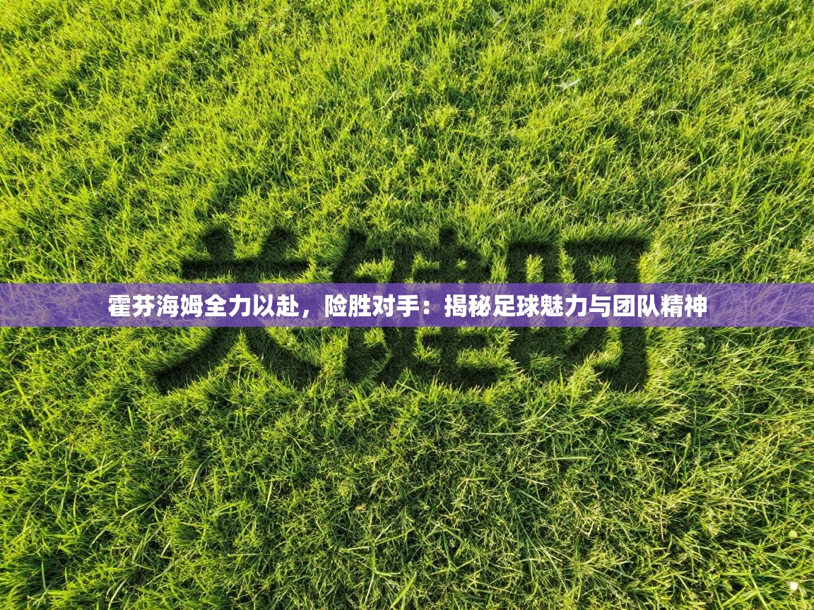 霍芬海姆全力以赴,险胜对手:揭秘足球魅力与团队精神 第2张