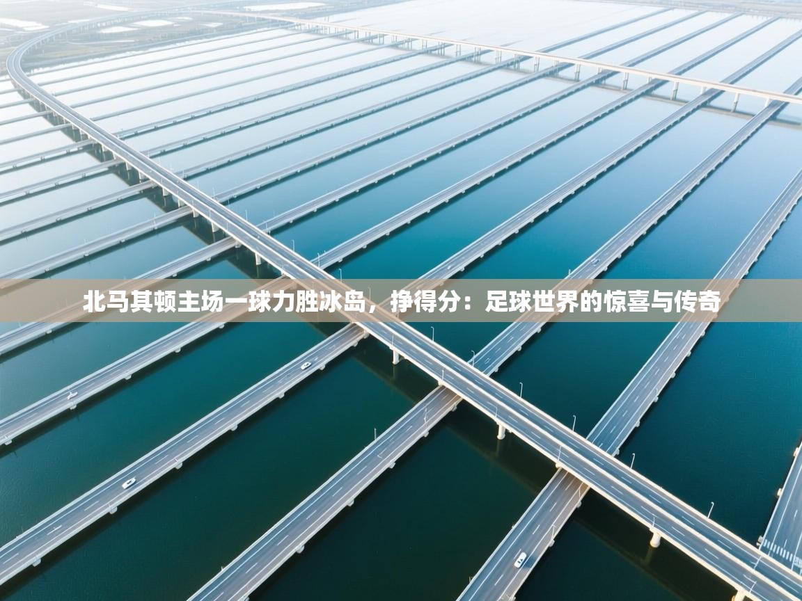 北马其顿主场一球力胜冰岛，挣得分：足球世界的惊喜与传奇  第1张