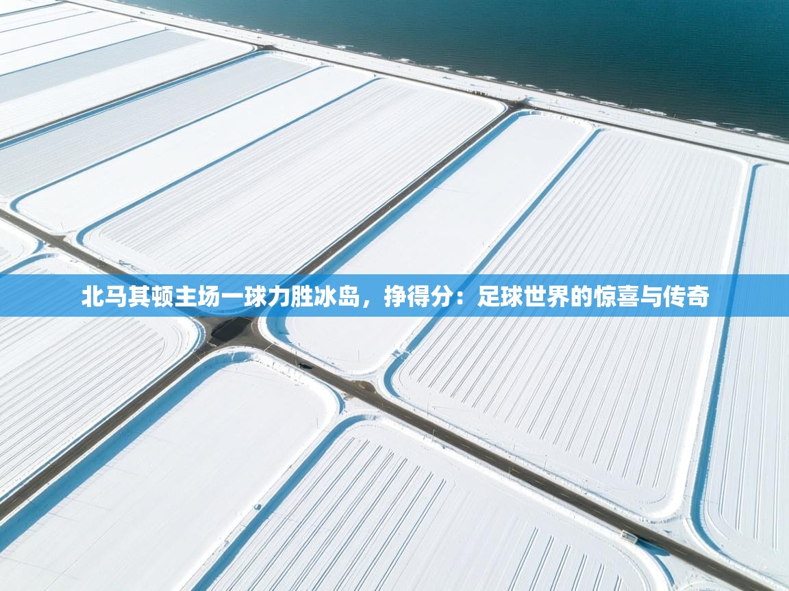 北马其顿主场一球力胜冰岛，挣得分：足球世界的惊喜与传奇  第2张