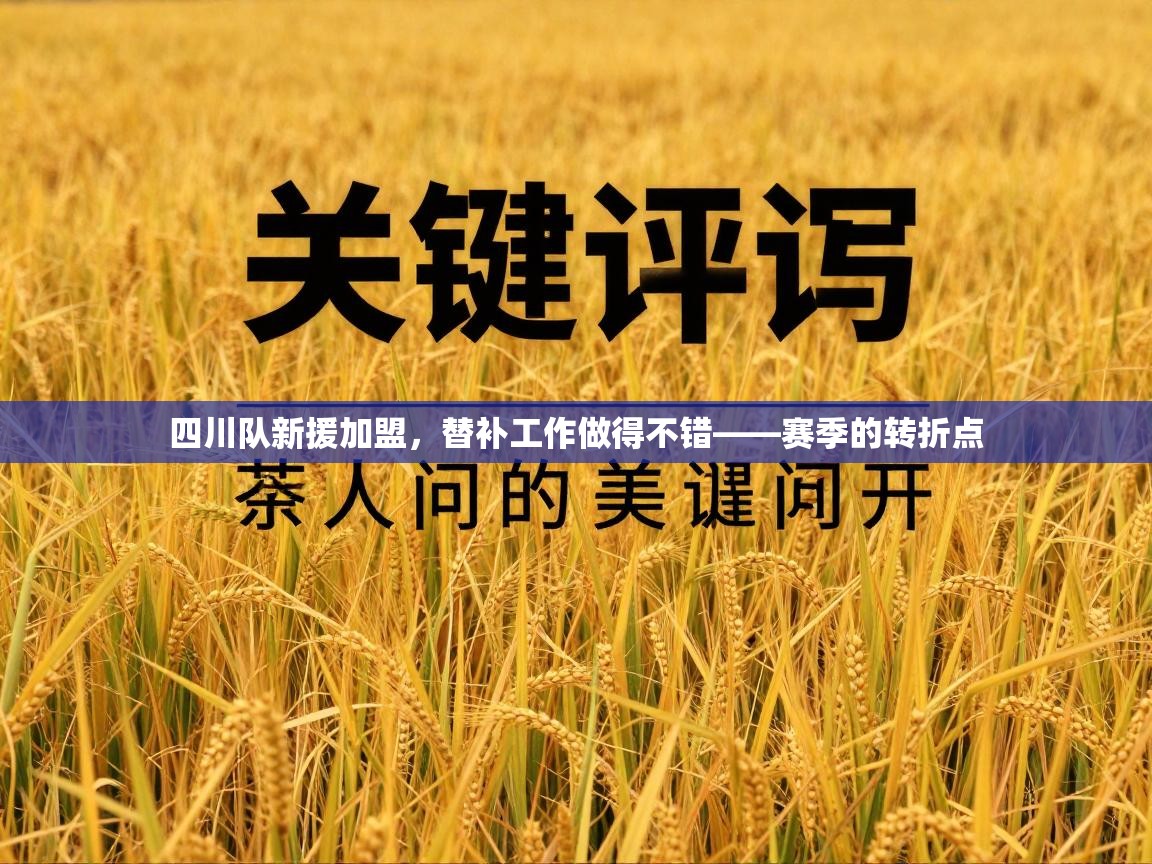 四川队新援加盟，替补工作做得不错——赛季的转折点  第2张